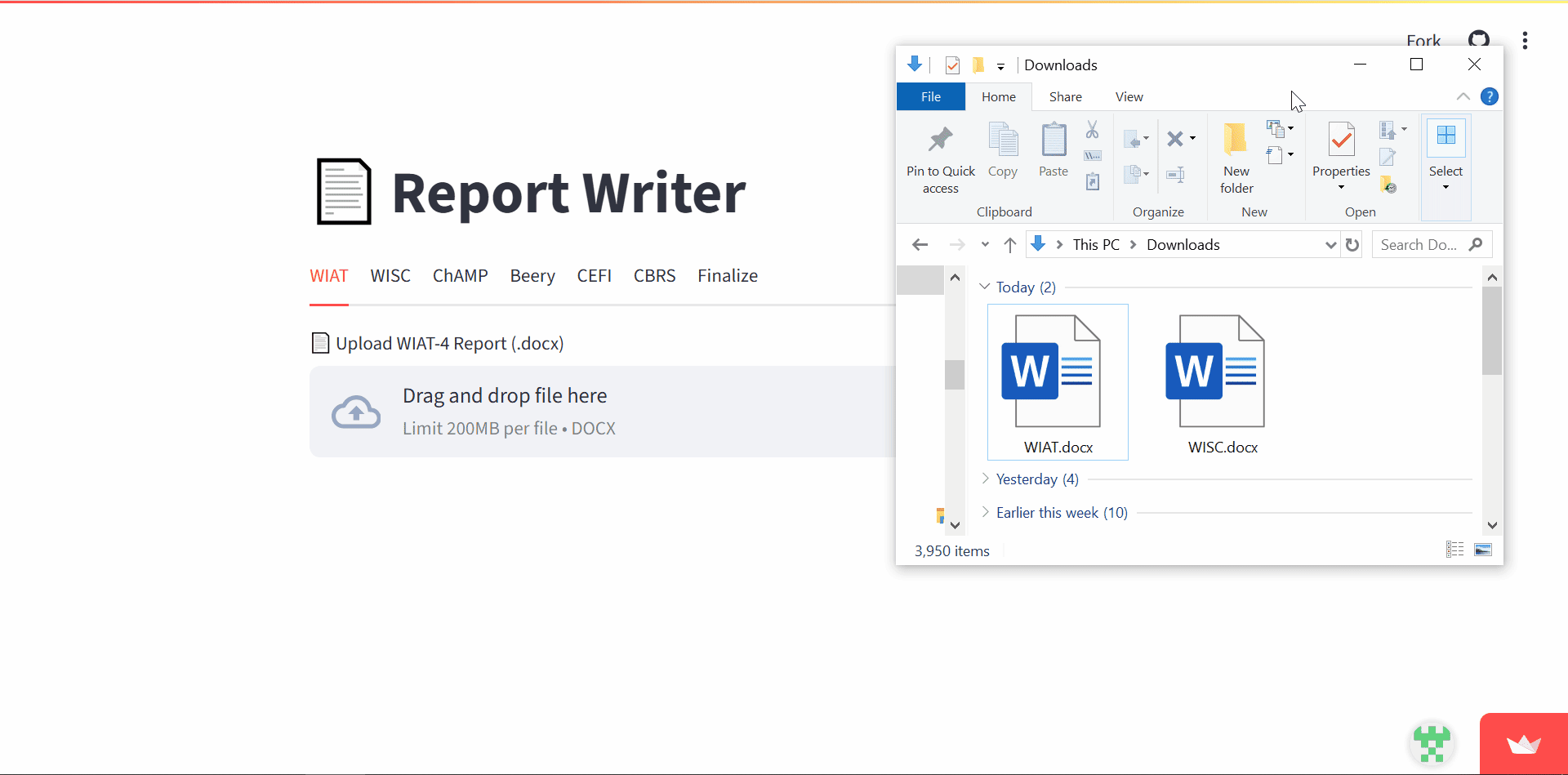 Demo of how the website functions